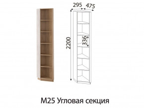 М25 Угловая секция в Горнозаводске - gornozavodsk.magazin-mebel74.ru | фото