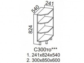 С300то Стол-рабочий 300 (торцевой открытый) в Горнозаводске - gornozavodsk.magazin-mebel74.ru | фото