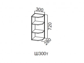 Ш300т/720 Шкаф навесной 300/720 (торцевой) в Горнозаводске - gornozavodsk.magazin-mebel74.ru | фото