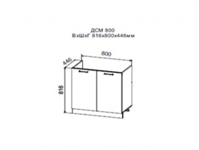 Шкаф нижний ДСМ800 под мойку в Горнозаводске - gornozavodsk.magazin-mebel74.ru | фото