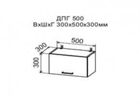 Шкаф верхний ДПГ500 горизонтальный в Горнозаводске - gornozavodsk.magazin-mebel74.ru | фото