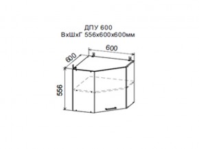 Шкаф верхний ДПУ600 угловой в Горнозаводске - gornozavodsk.magazin-mebel74.ru | фото